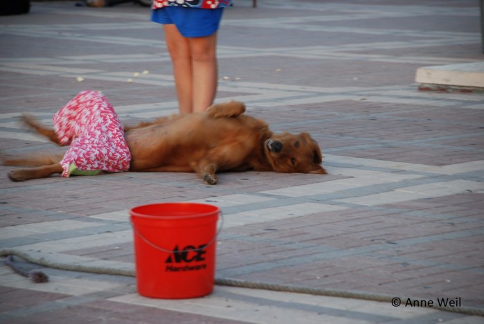 20180611 Wasting Time-Pic