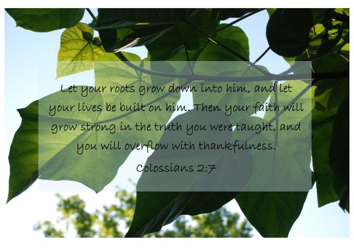 20180716-Colossians 2-7