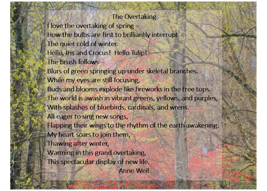 20180805 The Overtaking-JPEG.pub