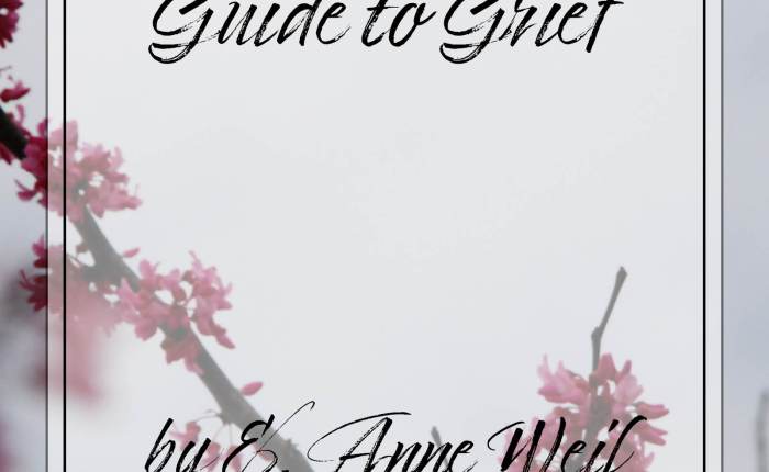 Three Things Thursday – I Wrote a Book!&nbsp;Edition